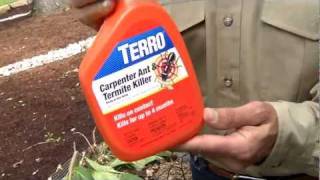 TERRO Carpenter Ant amp Termite Killer Spray [upl. by Nylirehs]