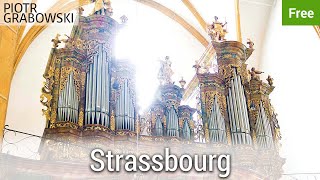 Strassburg  Free sample set for Hauptwerk and GrandOrgue [upl. by Airetahs]