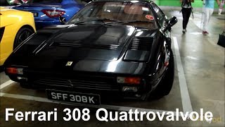 Ferrari 308 Quattrovalvole Walkaround [upl. by Winson]