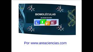 Biomoléculas Formadas Por los Bioelementos [upl. by Airres298]