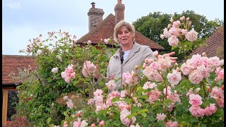 Gardening at home with Sarah  The Rose Garden in June [upl. by Lust]