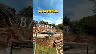 Baluarte Zoo shorts vigancity baluarte [upl. by Sihun]