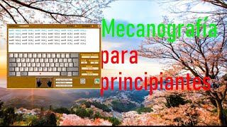 Curso de mecanografía para principiantes [upl. by Ayhtnic330]