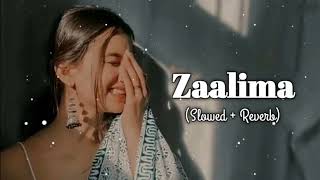 Zaalima SlowedReverb  Arijit Singh  Lofi Songs [upl. by O'Rourke]