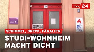 Studierende verzweifelt Ekelerregende Zustände in Berliner Wohnheim [upl. by Etnomaj]