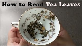 How To Read Tea Leaves Tasseography made easy [upl. by Leinahtan]