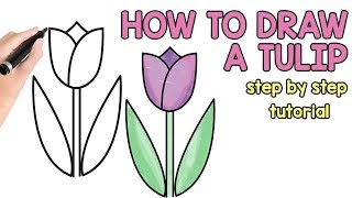 How to draw a tulip tutorial for beginners and kids [upl. by Nikolos323]