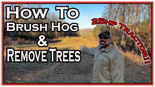 How to Clear Brush and Trees With a Compact Tractor Start to Finish [upl. by Frohman204]