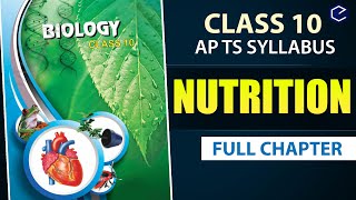 Nutrition Full Lesson  Nutrition 10th biology full chapter 1  AP amp TS syllabus 10th science ch1 [upl. by Eidson154]