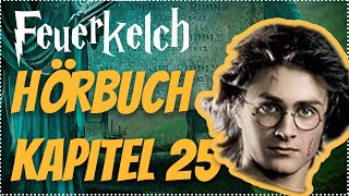 Harry Potter und der Feuerkelch Hörbuch Kapitel 25 Hörspiel Erwachsene Hörbuch Hörspiel [upl. by Nnaeirb]