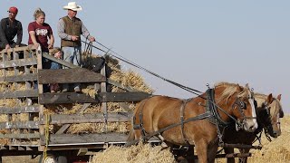 Reding Family Threshing 1910 2022 [upl. by Seaddon]