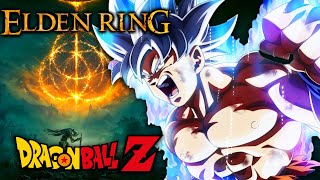 I played a CRAZY Ultra Instinct Goku Mod [upl. by Zeta439]