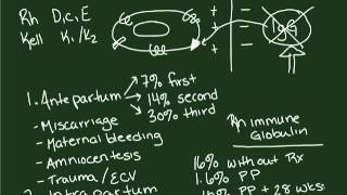 Rh Isoimmunization  Part I [upl. by Menides]