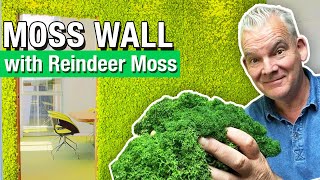 How to Build a Moss Wall With Reindeer Moss [upl. by Andrien]