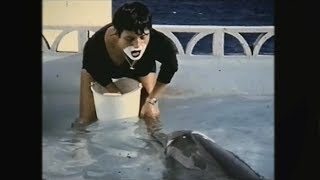 Teaching a dolphin to speak English  The Girl Who Talked to Dolphins Preview  BBC [upl. by Swetlana]