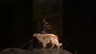 Dog on stage GISELLE  ACT 1 Part 2 1977 🦮 😀 shortsshort ballet giselle dog [upl. by Inaj627]