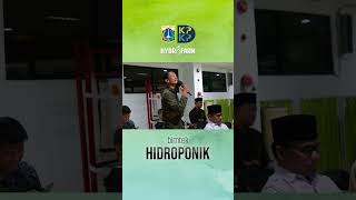 Seminar Bimbingan Teknis Hidroponik DKPKP DKI Jakarta 26 Juni 2023 [upl. by Aicilat180]