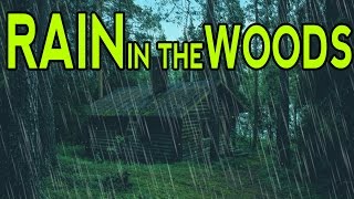 🎧 RAIN SOUNDS IN THE WOODS  Ambient Noise For Sleep Relaxation and Studying  Ultizzz day9 [upl. by Melisse]