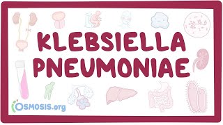 Klebsiella pneumoniae  an Osmosis Preview [upl. by Garrick]