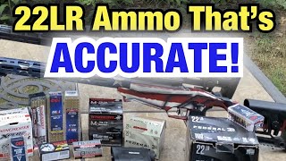 What’s the most accurate ammo 22LR ammunition [upl. by Chon678]