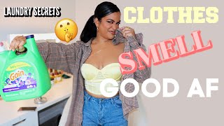 NO MORE Stanky Dull Bad Smelling Clothes In Depth LAUNDRY SECRETS [upl. by Clarkin119]