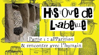 Histoire de labeille 1  Lapparition de labeille et la rencontre avec lhumain [upl. by Areivax132]