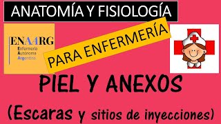 LA PIEL Y ANEXOS ANATOMIA Y FISIOLOGÍA [upl. by Ahsitneuq193]