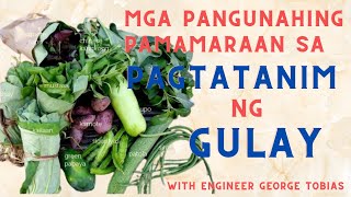 MGA PANGUNAHING PARAAN SA PAGTATANIM NG GULAY [upl. by Lipps811]