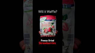 Freeze Dried Strawberries 🍓🥶 Will it Waffle [upl. by Grega]