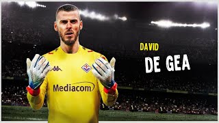 David de Gea • Incredible Saves Show • Welcome to Fiorentina [upl. by Garmaise360]