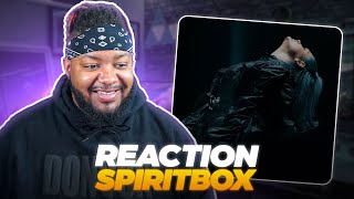 THIS WAS GREAT  Spiritbox  Circle With Me  REACTION [upl. by Sou]