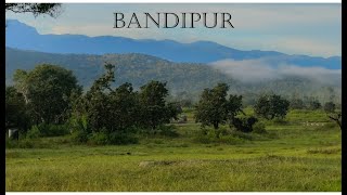 Bandipur  A Thrilling stay Experience [upl. by Synn]