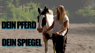 Pferdesprache lernen  Spiegelt Dich Dein Pferd [upl. by Negroj]