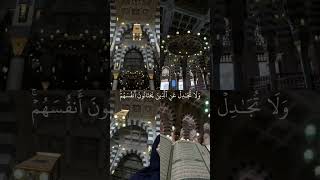 واستغفر الله ان الله كان غفورا رحيما قران ياسرالدوسري تصميمي قرانكريم [upl. by Llertnahs]