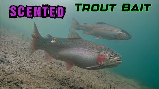 Can’t Catch Trout Try This Technique Crazy Underwater Footage [upl. by Silirama]