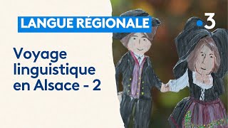 En alsacien on utilise des mots très différents pour dire la même chose Balade linguistique 2 [upl. by Airogerg169]