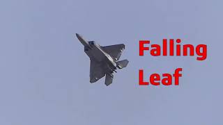 F22 Raptor does Falling Leaf and Cobra Maneuver [upl. by Zeugirdor]