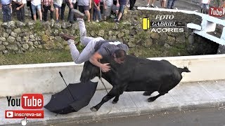 Tourada à Corda Casa da Ribeira 11 Julho 2019 Ganadeiro HF [upl. by Giliane]