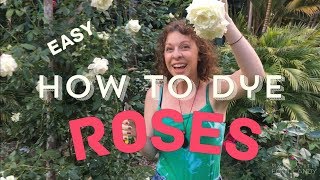 How to Dye Roses  EASY [upl. by Siri]