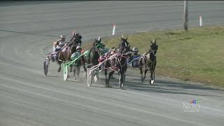 Several injured after horses crash during race in NS [upl. by Nrehtak75]