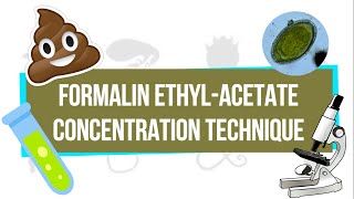 Formalin EthylAcetate Concentration Technique FEACT  UPLB Parasitology Research Laboratory [upl. by Iloj]