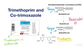 cotrimoxazole Uses [upl. by Neyuq]