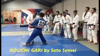 KOUCHI GARI 小内刈 Judo Inner reap foot sweep by Nobuyuki Sato Sensei [upl. by Ahsimal865]