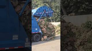 Garbage Truck Rear Loader Dumping garbagecollection truck [upl. by Larson]