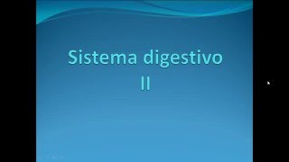 Histología de las glándulas digestivas anexas [upl. by Nogem]