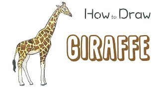 How to Draw a Giraffe [upl. by Odille]