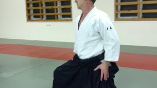 Aikido Shiko  suwari waza knee walking [upl. by Leasi490]