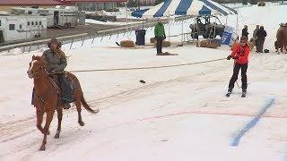 Extreme horse skijoring comes to Canterbury Park [upl. by Arramat215]