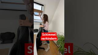 Diese Tipps helfen Schimmel vorzubeugen oder zu verhindern 🏠 shorts schimmel [upl. by Kaleb]