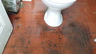 Toilet overflowing and flooding [upl. by Anoj]